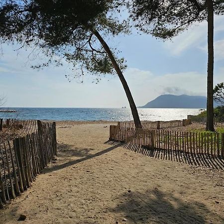 Petit Paradis Classe 3 Etoiles A 200M De La Plage! Terrasse-Wifi-Parking-Clim Saint-Mandrier-sur-Mer Bagian luar foto