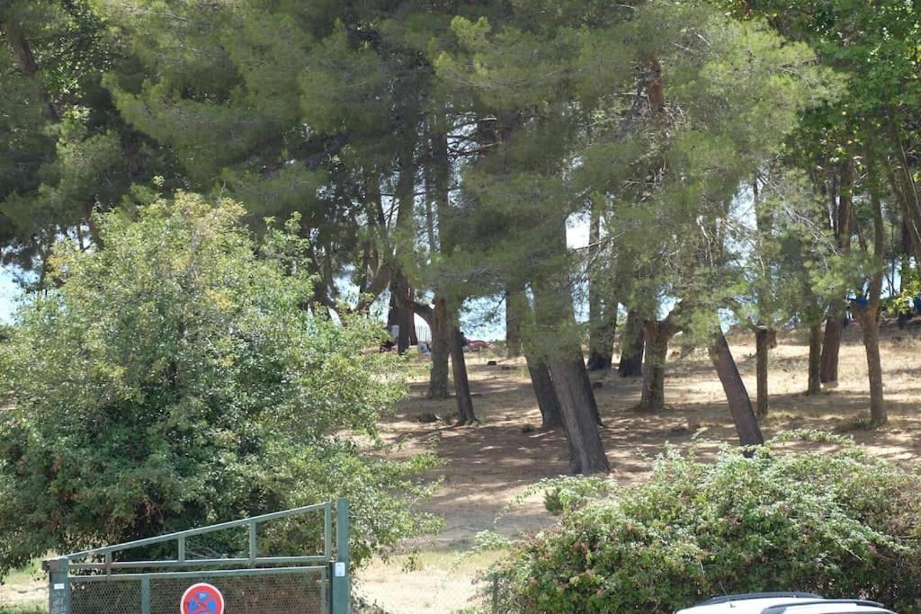 Petit Paradis Classe 3 Etoiles A 200M De La Plage! Terrasse-Wifi-Parking-Clim Saint-Mandrier-sur-Mer Bagian luar foto