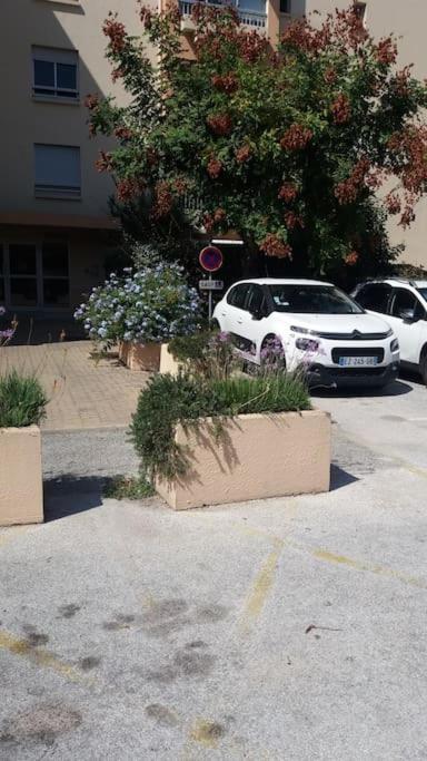 Petit Paradis Classe 3 Etoiles A 200M De La Plage! Terrasse-Wifi-Parking-Clim Saint-Mandrier-sur-Mer Bagian luar foto