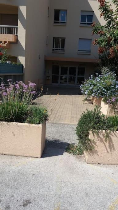Petit Paradis Classe 3 Etoiles A 200M De La Plage! Terrasse-Wifi-Parking-Clim Saint-Mandrier-sur-Mer Bagian luar foto