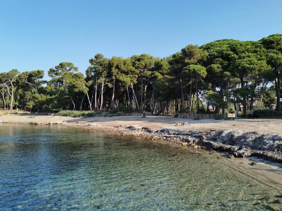 Petit Paradis Classe 3 Etoiles A 200M De La Plage! Terrasse-Wifi-Parking-Clim Saint-Mandrier-sur-Mer Bagian luar foto