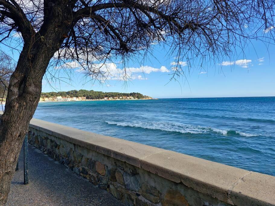 Petit Paradis Classe 3 Etoiles A 200M De La Plage! Terrasse-Wifi-Parking-Clim Saint-Mandrier-sur-Mer Bagian luar foto